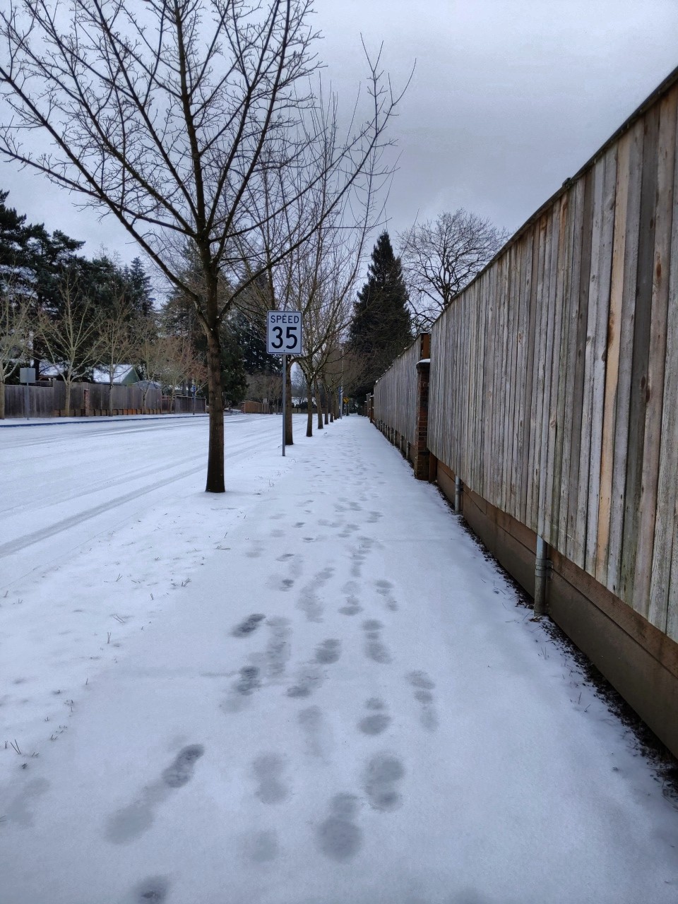 Snowy sidewalk